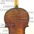 1717ViolinoGraf c.jpg