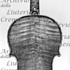 1718ViolinoMarlboro c.jpg