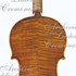 1718ViolinoMaurin c.jpg