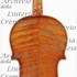 1719ViolinoHaupt c1.jpg