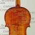 1721ViolinoArchinto c.jpg