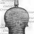 1725ViolinoLubbock c.jpg