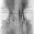 1725VioloncelloBaudiot a1.jpg