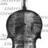 1727ViolinoRiess c.jpg