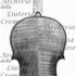 1729ViolinoLibon c.jpg