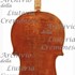 1730VioloncelloBenvenuto c.jpg