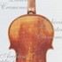 1733ViolinoSassoon c.jpg