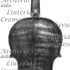 1734Violino3 c.jpg