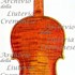 1737ViolinoCantodelCigno c1.jpg