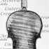 1737ViolinoLordNorton c.jpg