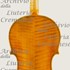 1738cViolinoMaggio c.jpg