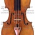 1738ViolinoAdam a1.jpg