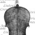 1805Violino2 c.jpg