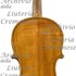 1910ViolinoBL c.jpg