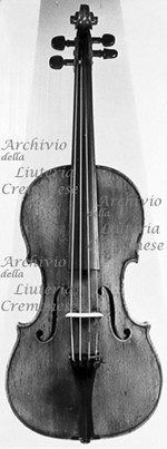 1684ViolinoWebbs a.jpg