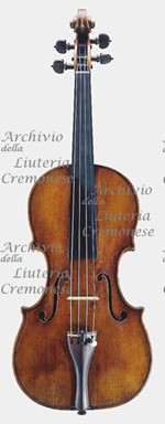 1690cViolino a.jpg