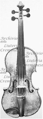 1690Violino2 a.jpg