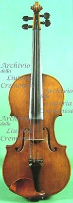 1691cViolino a.jpg