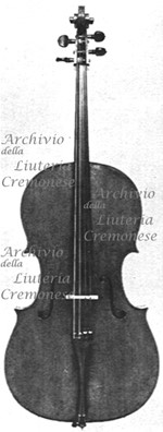 1692Cello2 a.jpg