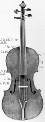 1697Viola a.jpg