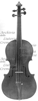 1700cViolino8 a.jpg