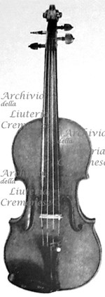 1704ViolinoHirt a.jpg