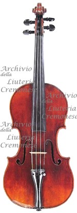 1705cViolino a.jpg