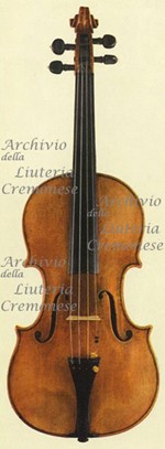 1708ViolinoSoil a.jpg