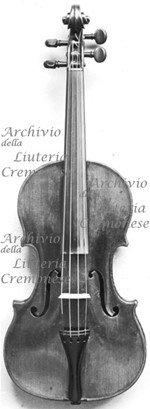 1710cViolino a.jpg