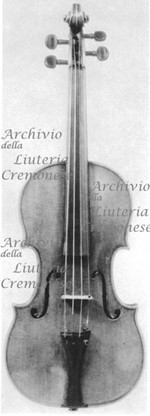 1713ViolinoRodewald a.jpg