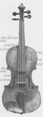 1716ViolinoFau a.jpg