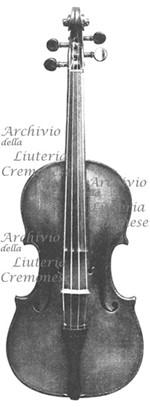 1717ViolinoHammerle a.jpg