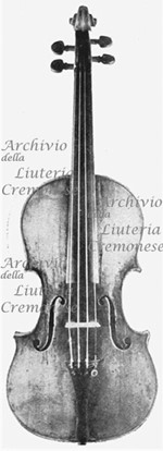 1718cViolinoPrové a.jpg