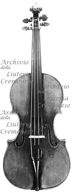 1719ViolinoApollo a.jpg