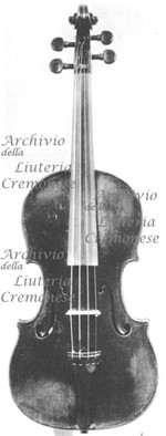 1722ViolinoMaestro a.jpg