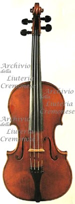 1727ViolinoVenus a.jpg