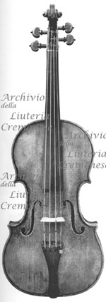 1730ViolinoTriton a.jpg