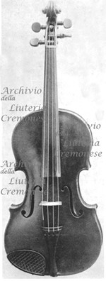 1734ViolinoHercules a.jpg