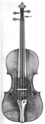 1735cViolinoNestor a.jpg