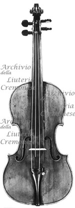 1736ViolinoMuir-McKenzie a.jpg