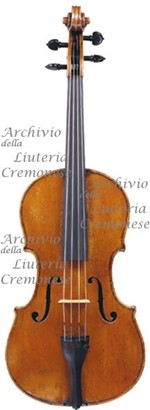 1790cViola a.jpg