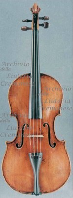 1800Viola a.jpg