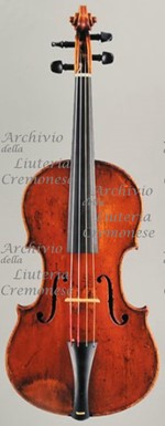 1804Viola a.jpg