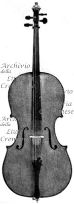 1813Violoncello a.jpg