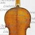 1670cViolino c.jpg