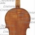 1680Violino c.jpg