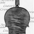 1683ViolinoHart c.jpg