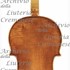 1690cViola2 c.jpg