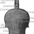 1694ViolinoFetzer c.jpg