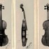 1695cViolino f2 a.jpg